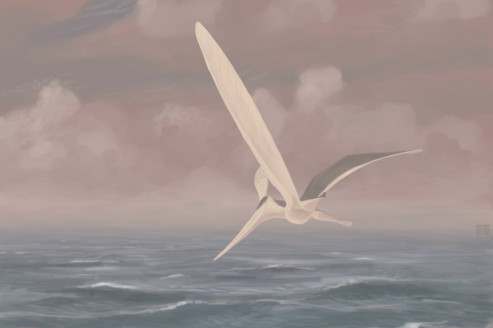 Pterodactyls took millions of years to become deadly masters of