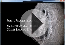 Video - Prehistoric Movie Monster Mollusk Re-created with 3D Printer