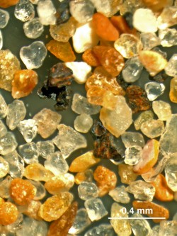 Omaha Beach sand seen through a binocular microscope