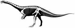 Sarahsaurus Skeletal Reconstruction