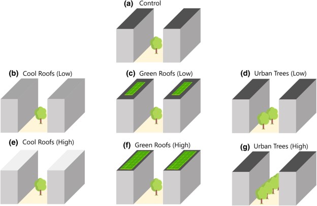 Simulation Cases Pnas