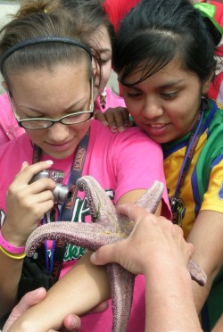 Students get closer to nature at Oregon's Seal Rock in 2007.