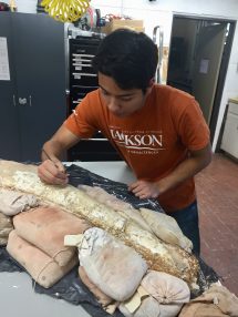 Student With Fossil