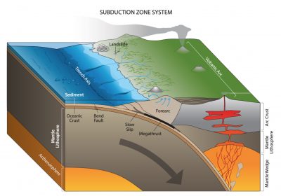 The cutaway diagram shows the oceanic plate bending inland where it meets the continental plate.  The figure also shows volcanoes erupting inland, fed by hot magma rising from the subduction zone.