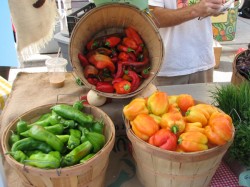 Since 1993, the Pitres, who run Tecolote Farm, have sold their produce at local farmer’s markets in central Texas. Photo: Katie Pitre.