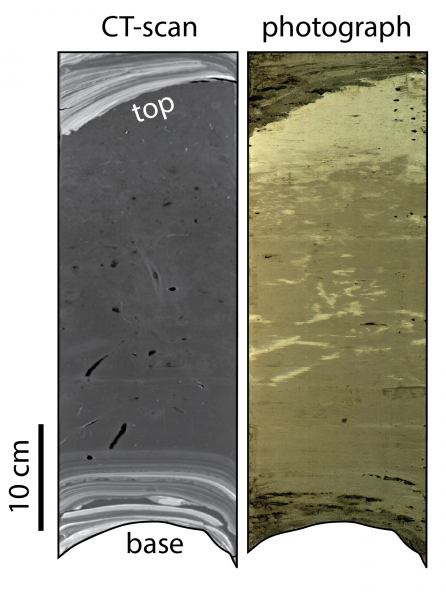 Turbidite Example