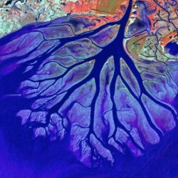 Saving the Delta: Research generates new optimism about saving the Mississippi Delta from erosion