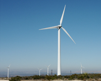 PUF lands in West Texas host this wind farm and the state's largest vineyard