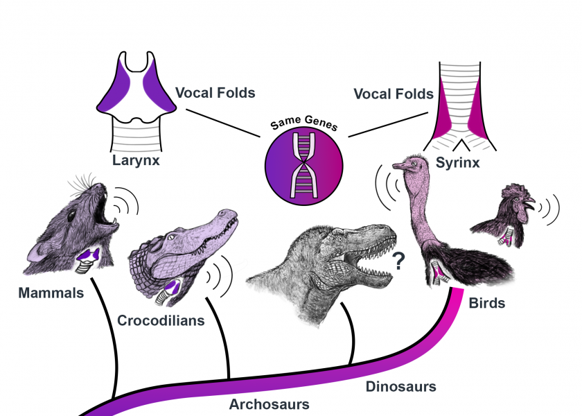 Current Bio Press Release Image 2 840x600 Acf Cropped