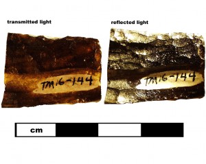 Compare indochinite (16TM144) specimen in transmitted and reflected light.