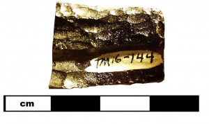 16TM144_2b indochinite (16TM144)