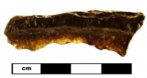 16TM51_1a indochinite (16TM51)