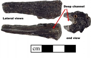 Alternate view of philippinite (35TM1) at left.