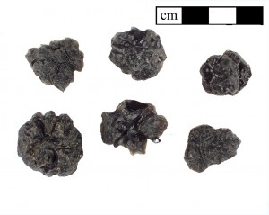 7TM37to42_2a bedisasite samples (7TM37-42)