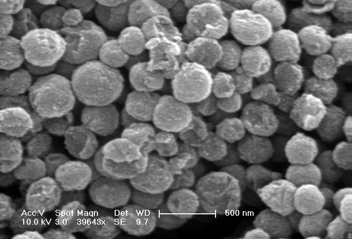 SEM image of melanosome structures (fossil squid ink) from NPL52123A