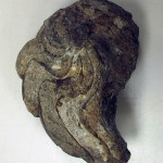 34. Predator in the Paleozoic seas about 300 million years ago.
