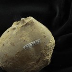 Holdfast-NPL_13328_2