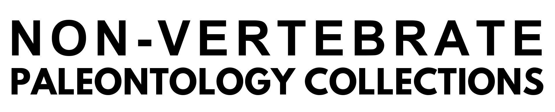 Npltitle01