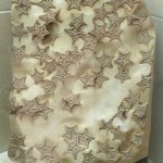Famous starfish slab