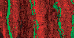 xrf data