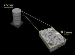 MicroCT Image Scaling