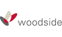 Woodside Logo (chunky)