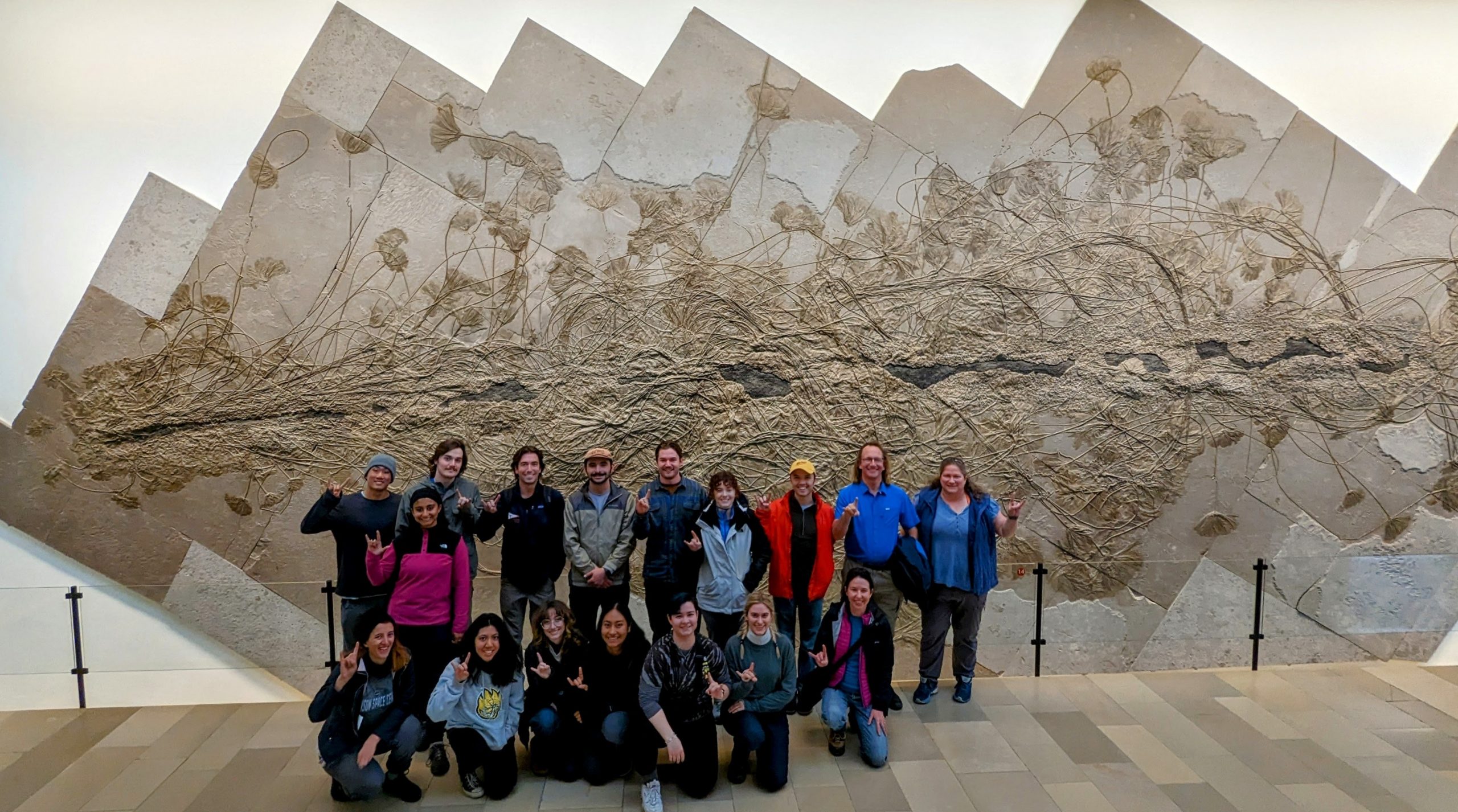 A group of 18 professors and students stands in front of a fossil specimen mounted on the wall. the fossil is of a colony of crinoids ("sea lillies") that were living on a piece of driftwood. Overall, the wall-mount is many meters long and about 5 meters high.