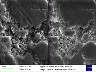 SE1 signal (right) and SE2 signal (left) of the same area. Compare the topographic information of the SE2 detector to the surface detail information of the SE1 detector.