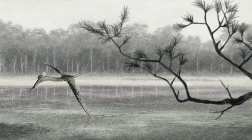 Quetzalcoatlus Langstoni Memoir Cover Art Scaled 1800x1000 Acf Cropped