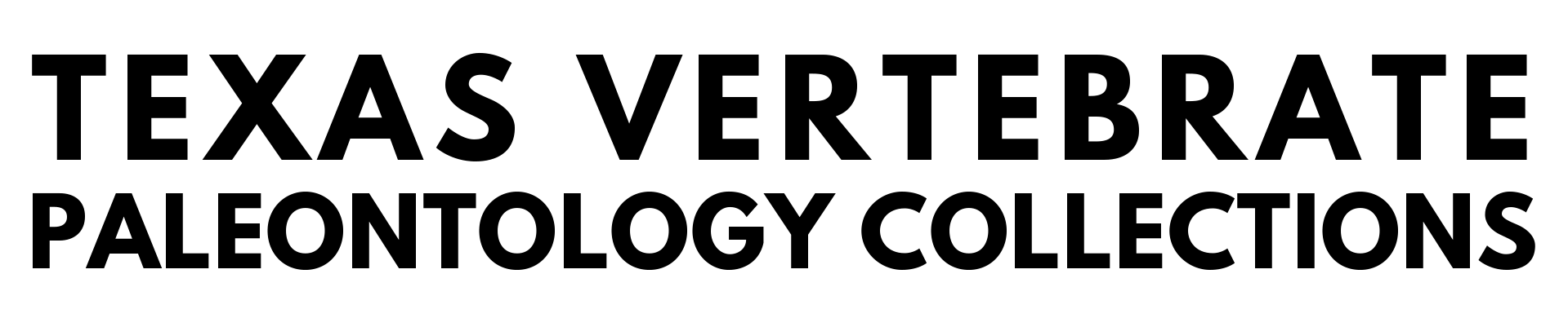 Blacktxvp 2line Wordmark