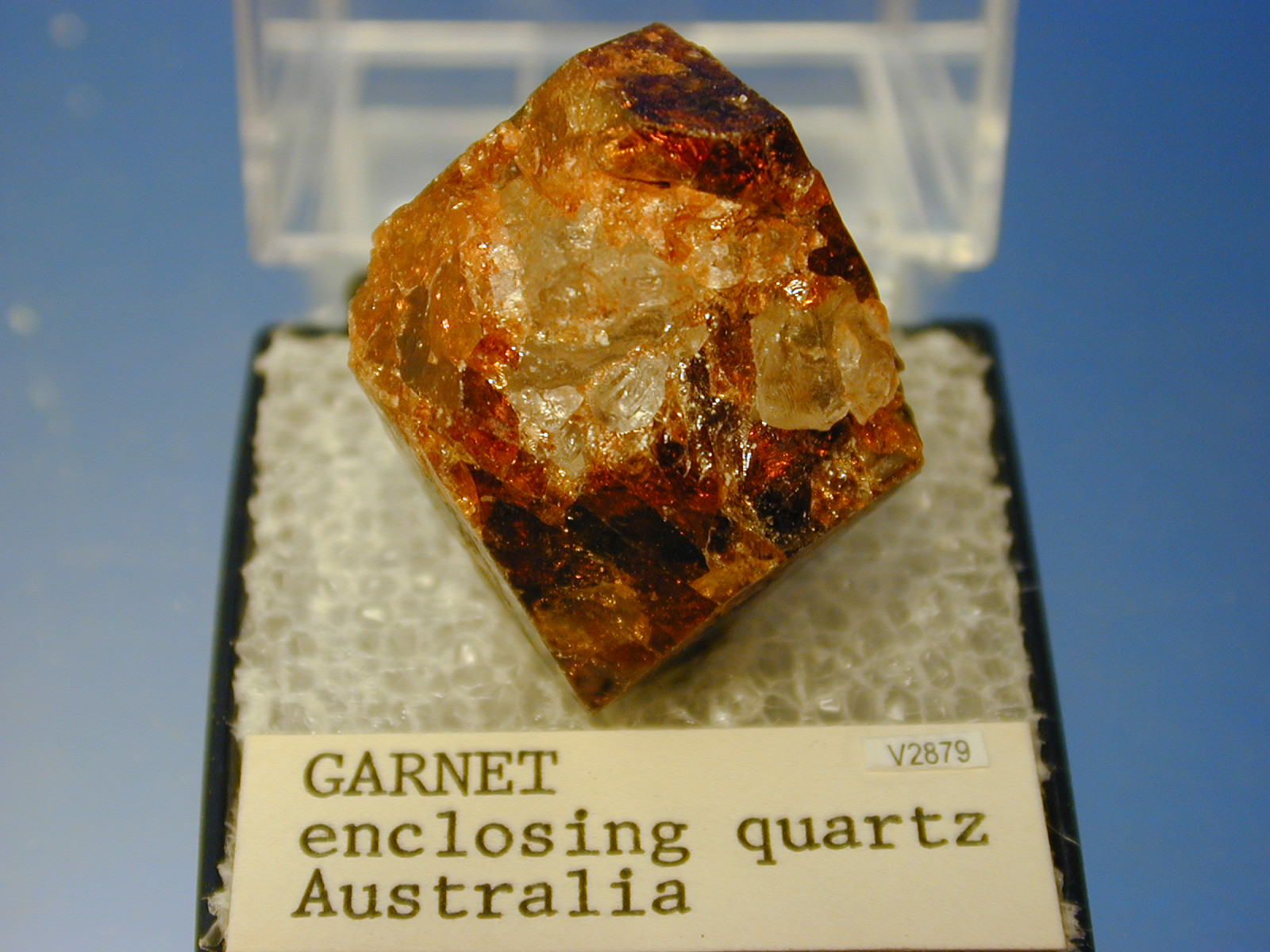 Vargas Gem Mineral Collection Garnet V2879