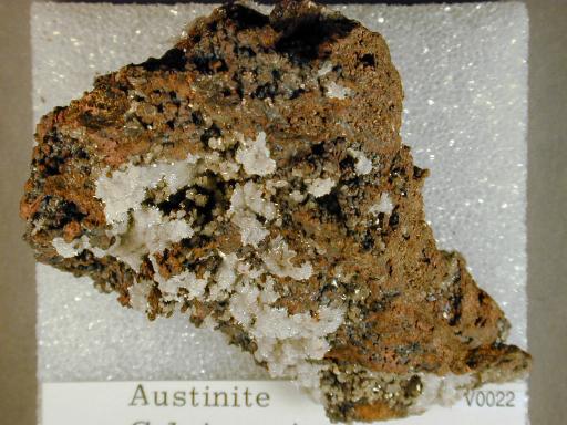 Austinite image.