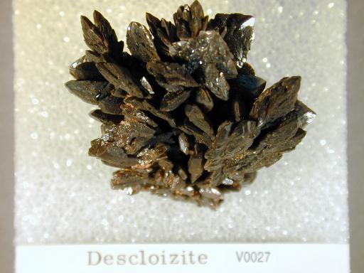 Descloisite image.