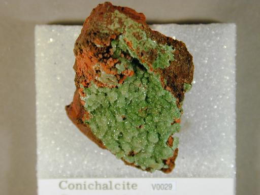 Conichalcite image.