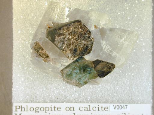 Phlogopite image.