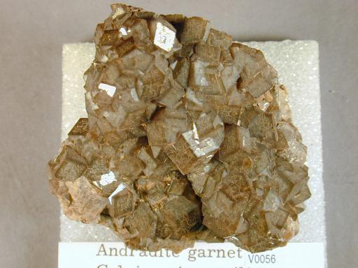 Garnet image.