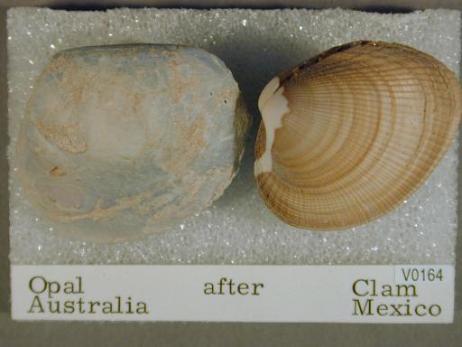 Opal image.