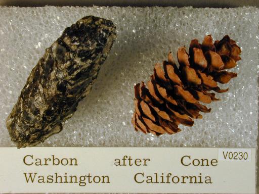 Carbon image.