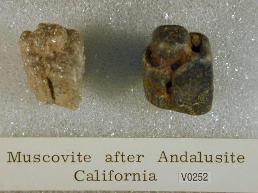 Muscovite image.