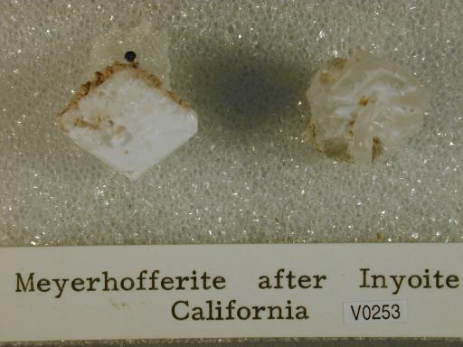 Meyerhofferite image.