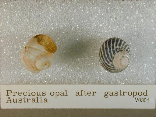 Opal image.