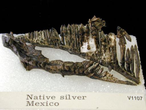 Silver image.