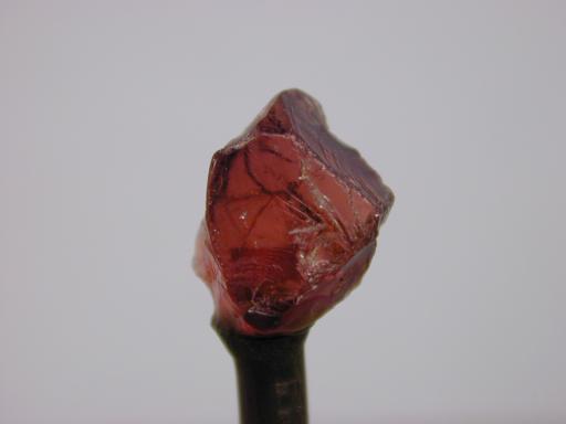 Garnet image.