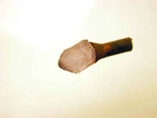Scapolite image.