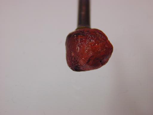 Garnet image.
