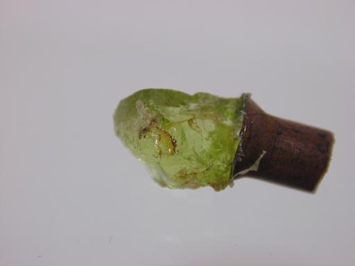 Olivine image.