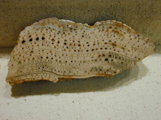 Chalcedony image.
