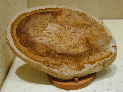 Chalcedony image.