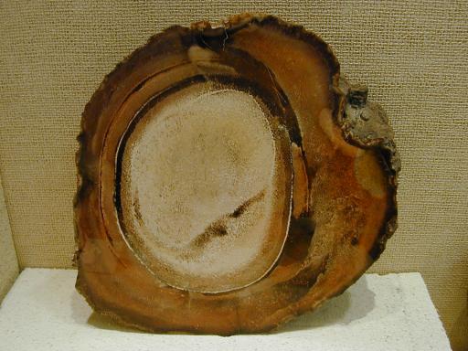 Chalcedony image.