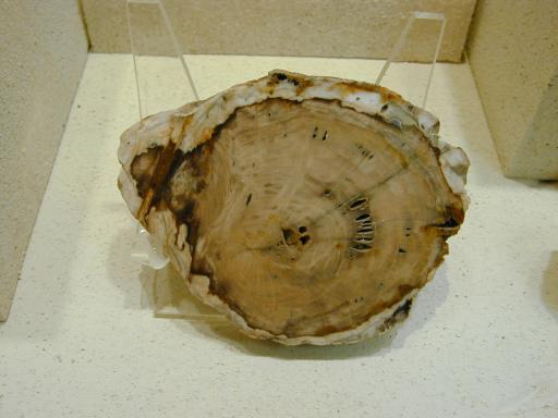 Chalcedony image.